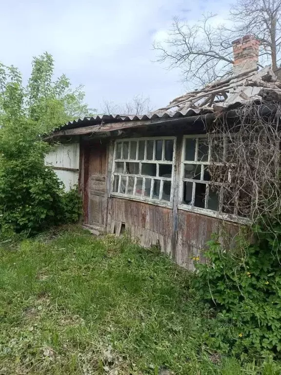 Дом в Белгородская область, Вейделевка рп ул. Свободы, 128 (20 м) - Фото 1