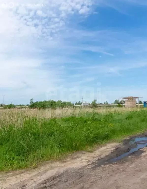 Участок в Тюмень, СНТ Рябинка-2 (8.3 м) - Фото 2