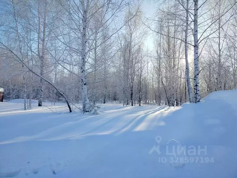 Участок в Новосибирская область, Новосибирский район, Станционный ... - Фото 2