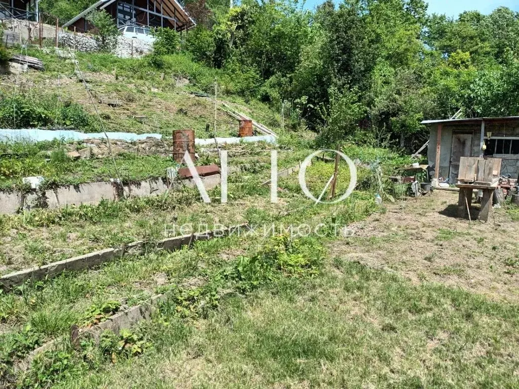 Участок в Краснодарский край, Сочи городской округ, с. Бестужевское, ... - Фото 1