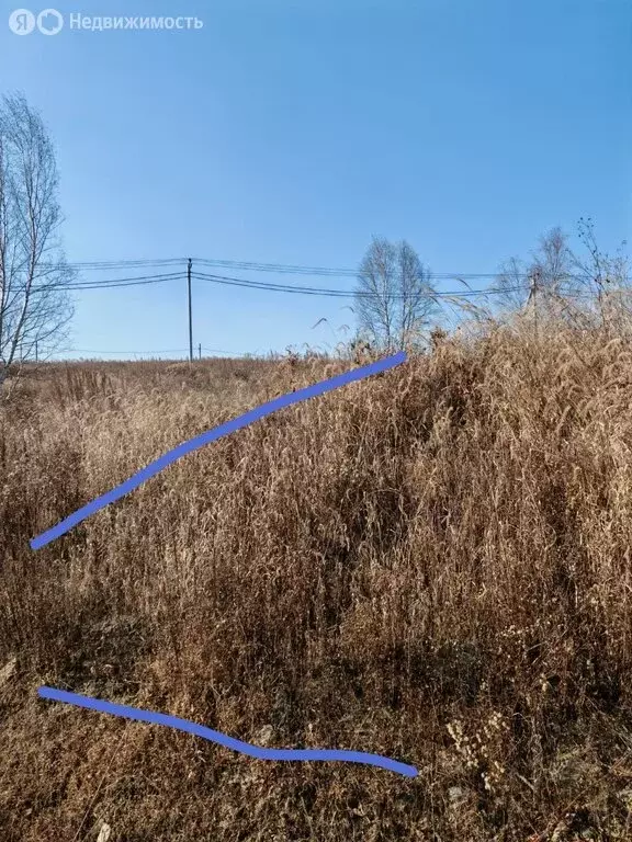 Участок в Трудовое, ССПК Помология (8 м) - Фото 2