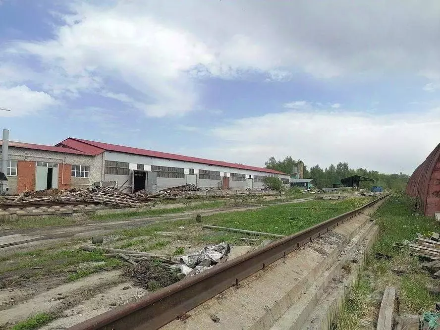Помещение свободного назначения в Марий Эл, Йошкар-Ола Ленинский ... - Фото 1