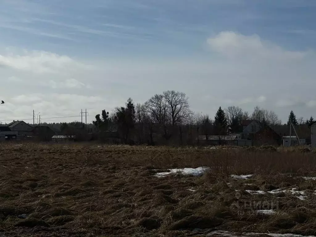 Участок в Калининградская область, Гурьевский муниципальный округ, ... - Фото 1