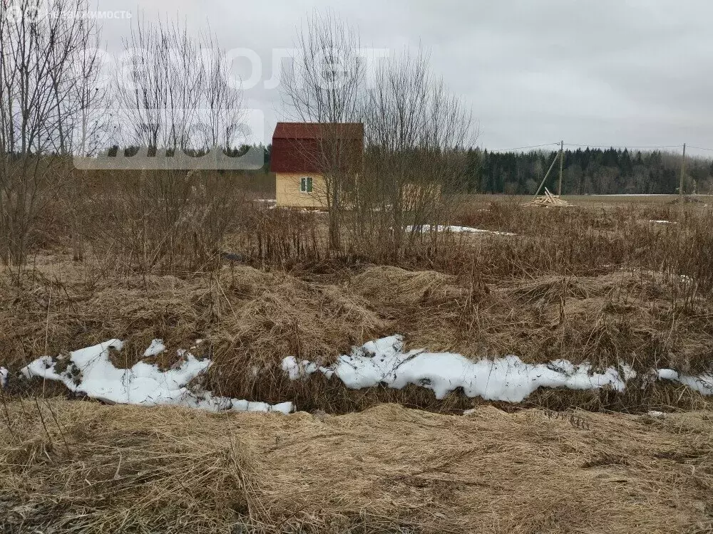 Участок в Любанское городское поселение, деревня Рамцы (10.24 м) - Фото 1