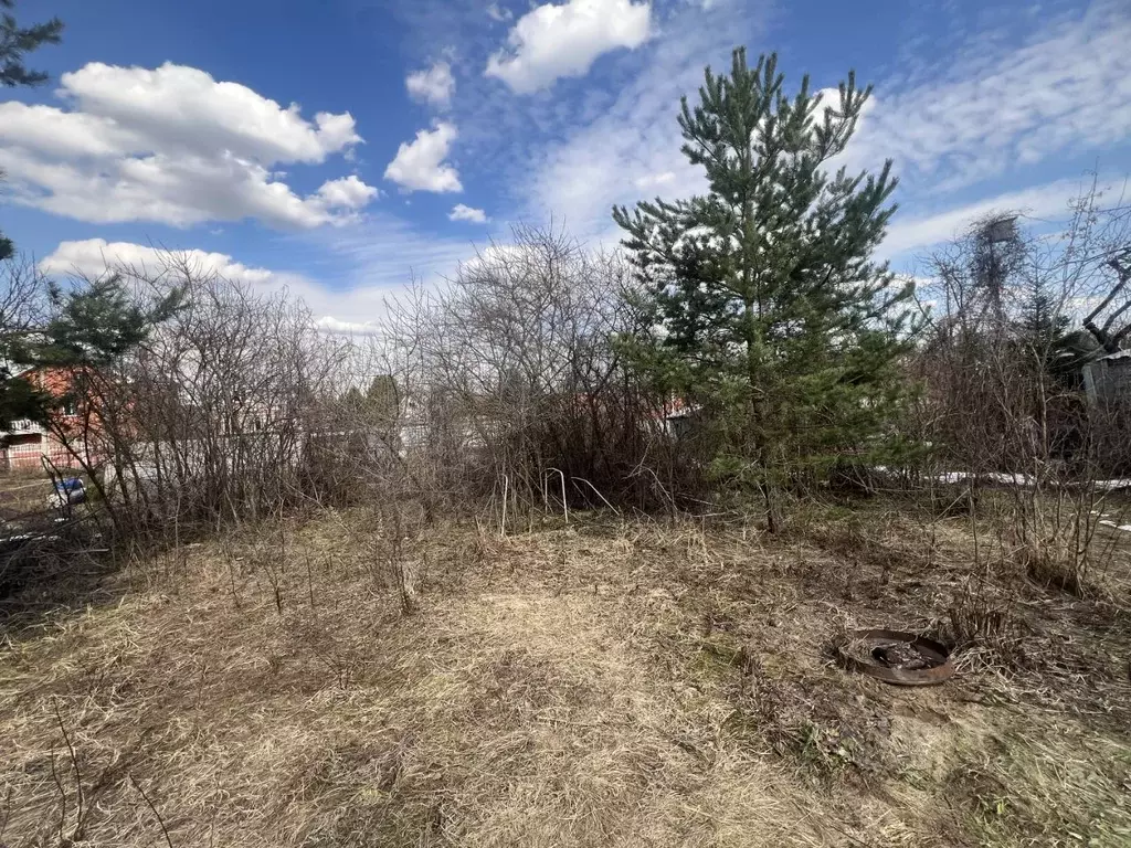 Участок в Московская область, Лосино-Петровский городской округ, с. ... - Фото 1