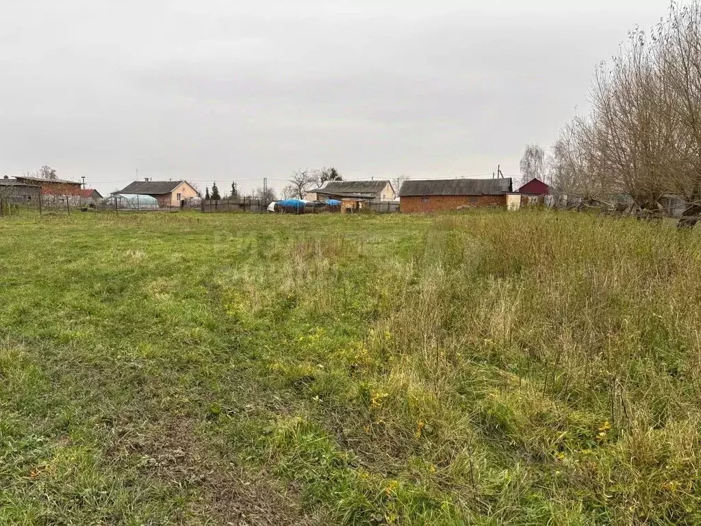 Участок в Калининградская область, Багратионовский муниципальный ... - Фото 1