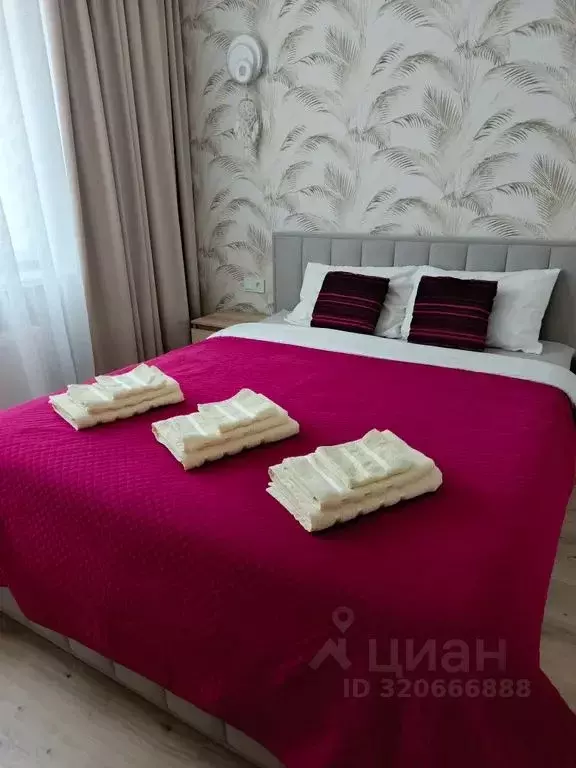 1-к кв. Калининградская область, Калининград ул. Сержанта Мишина, 81к4 ... - Фото 0