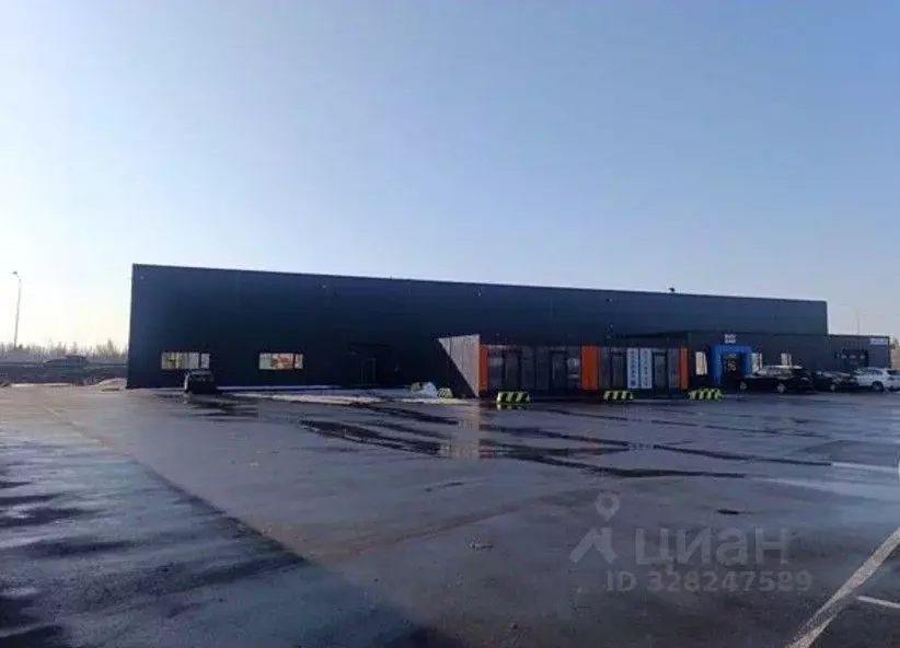 Помещение свободного назначения в Ленинградская область, Всеволожский ... - Фото 2