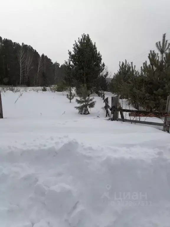 Участок в Иркутская область, Тайшетский район, Старо-Акульшетское ... - Фото 2