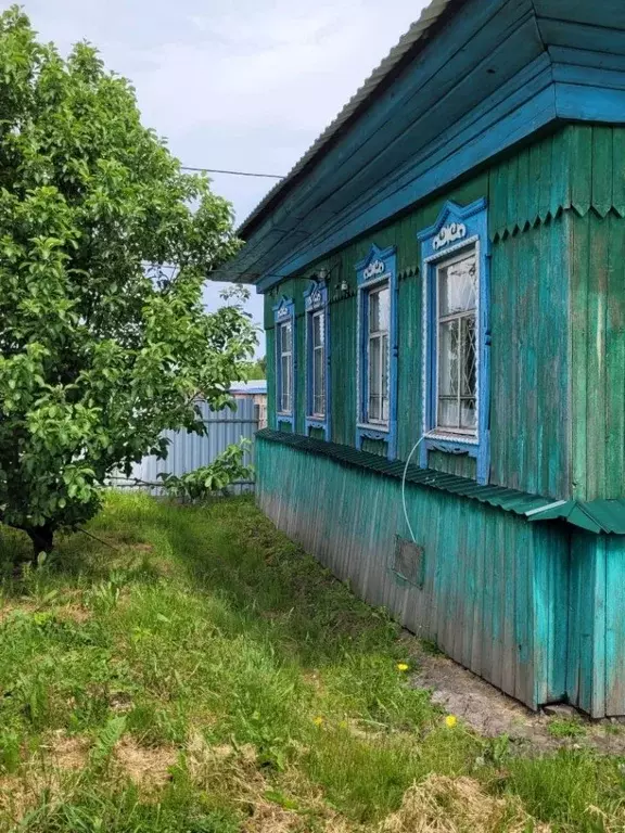 Дом в Новосибирская область, Тогучинский район, с. Усть-Каменка ул. ... - Фото 1