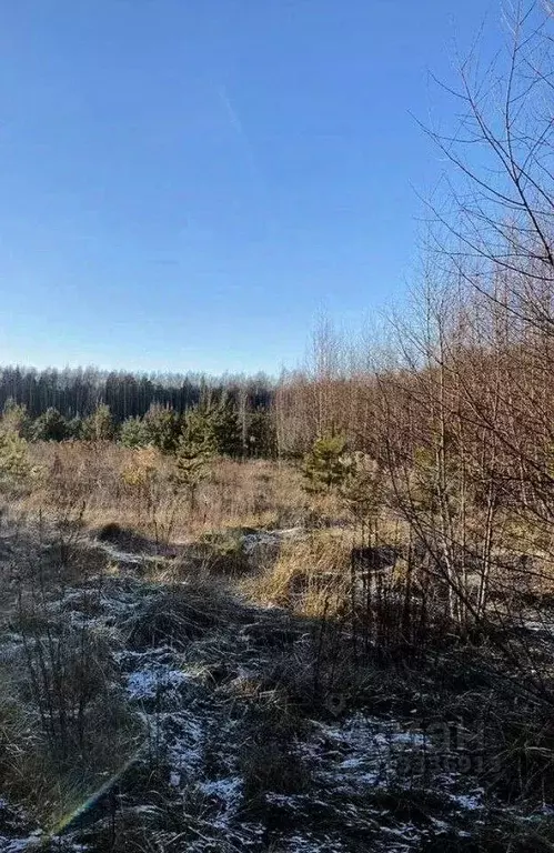 Участок в Владимирская область, Владимир д. Уварово, ул. Юринская ... - Фото 0