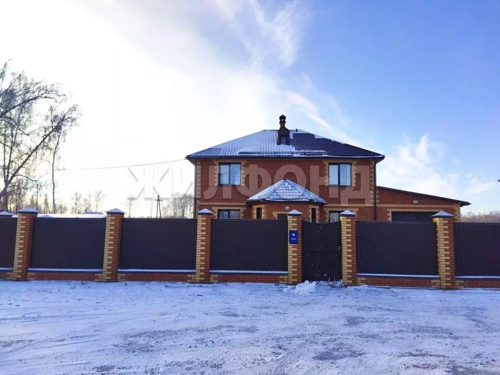 Дом в Новосибирская область, Новосибирский район, с. Боровое Рабочая ... - Фото 2