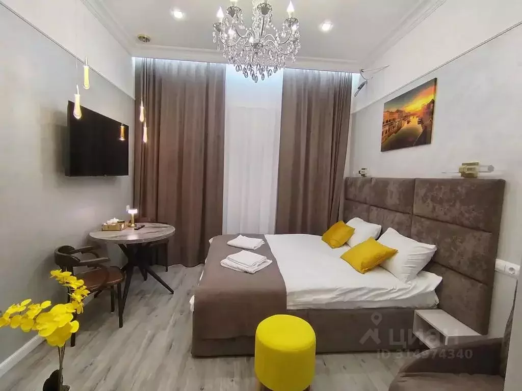 Студия Санкт-Петербург Тележная ул., 29 (23.0 м) - Фото 0