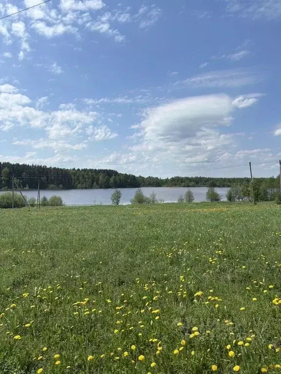 Участок в Московская область, Богородский городской округ, д. ... - Фото 1