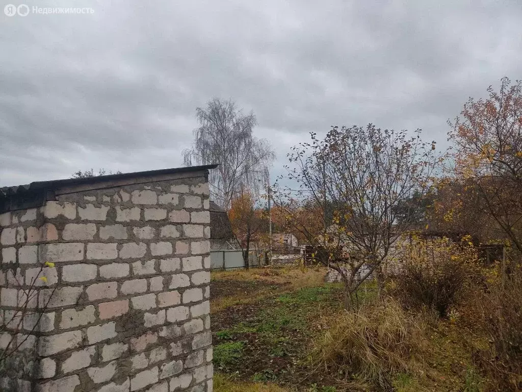 Участок в село Толмачево, садовые участки Импульс, 199 (6 м) - Фото 2