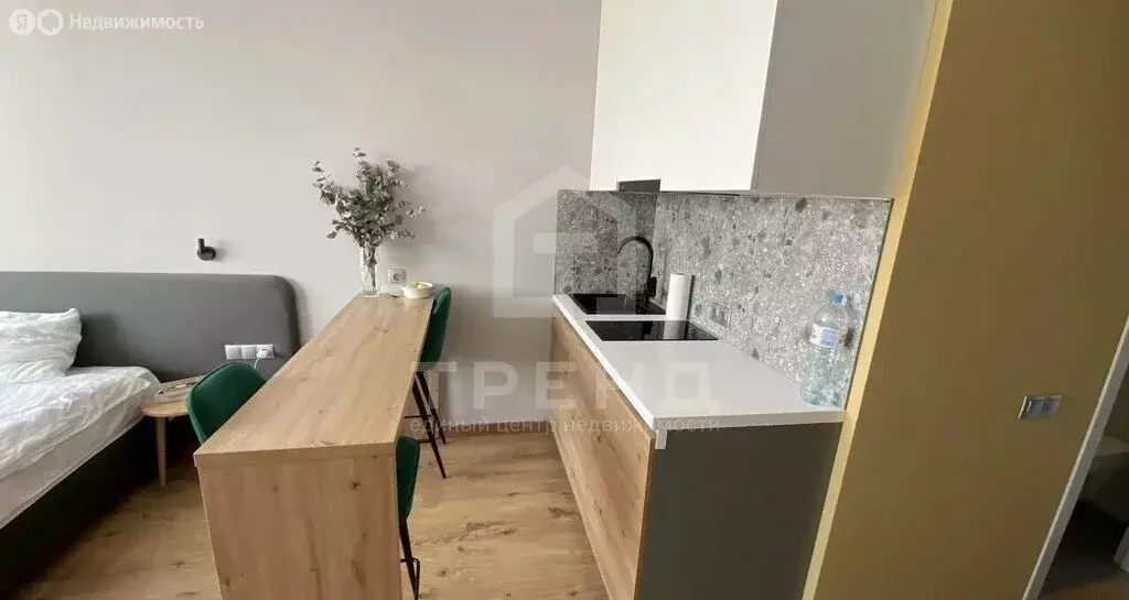 Квартира-студия: Санкт-Петербург, дорога на Турухтанные Острова, 5к1 ... - Фото 2