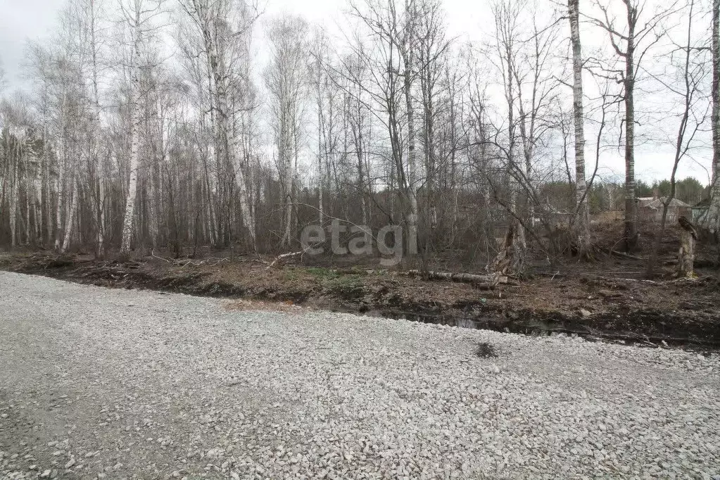 Участок в Свердловская область, Верхняя Пышма городской округ, пос. ... - Фото 1