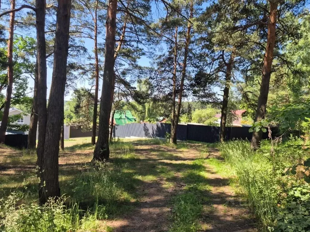 Участок в Калужская область, Обнинск Красная Горка садоводческий ... - Фото 2