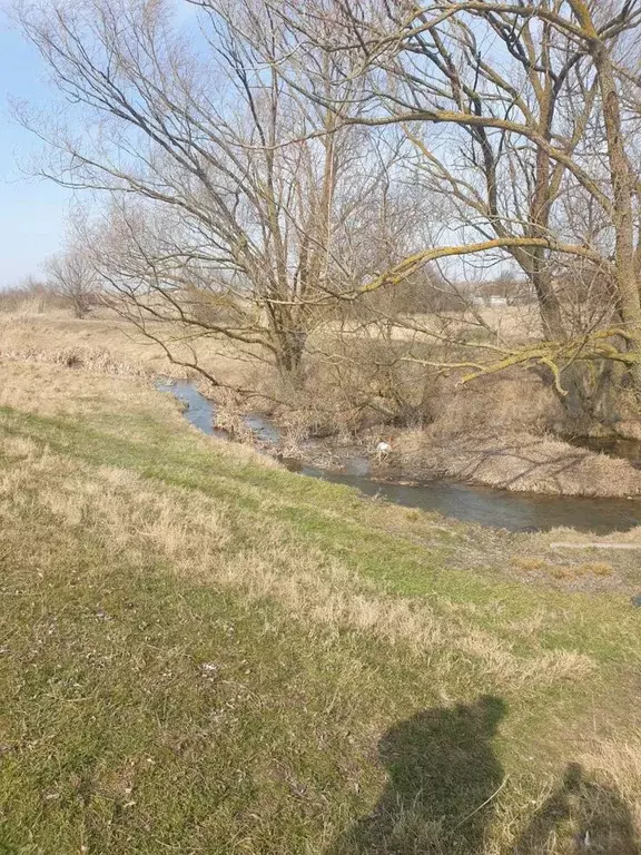 Село камышинка