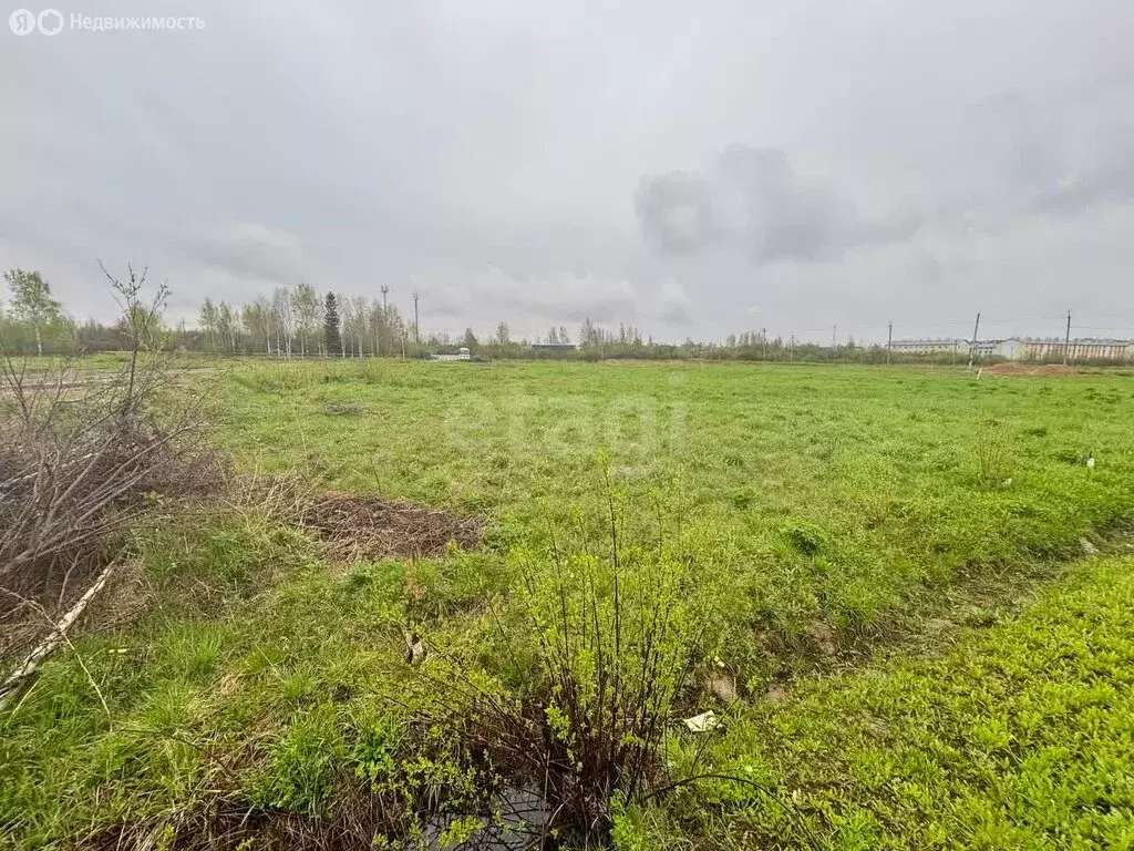 Участок в Шарья, Северная улица (10 м) - Фото 1