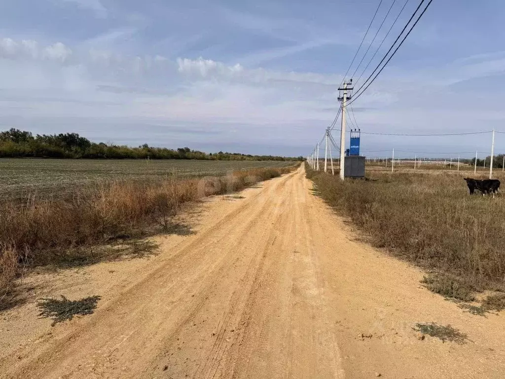 Участок в Ростовская область, Мясниковский район, с. Большие Салы ул. ... - Фото 2
