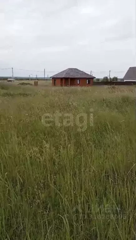 Участок в Мордовия, Лямбирский район, Берсеневское с/пос, Дружба ... - Фото 0
