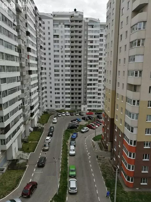 Квартира-студия: Владимир, улица Нижняя Дуброва, 47к3 (35 м) - Фото 1