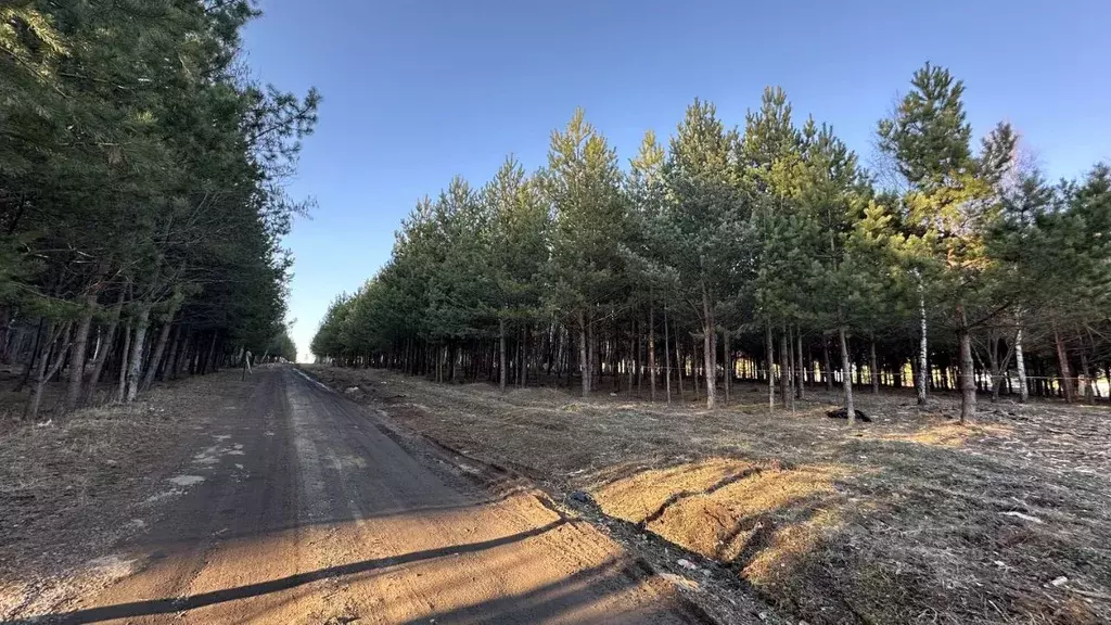 Участок в Московская область, Ступино городской округ, Сосны Вилладж ... - Фото 0