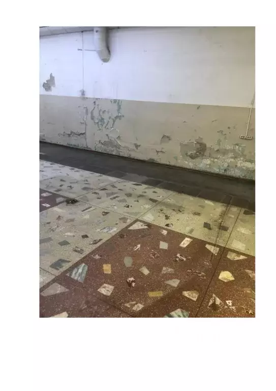 Помещение свободного назначения в Новосибирская область, Новосибирский ... - Фото 1