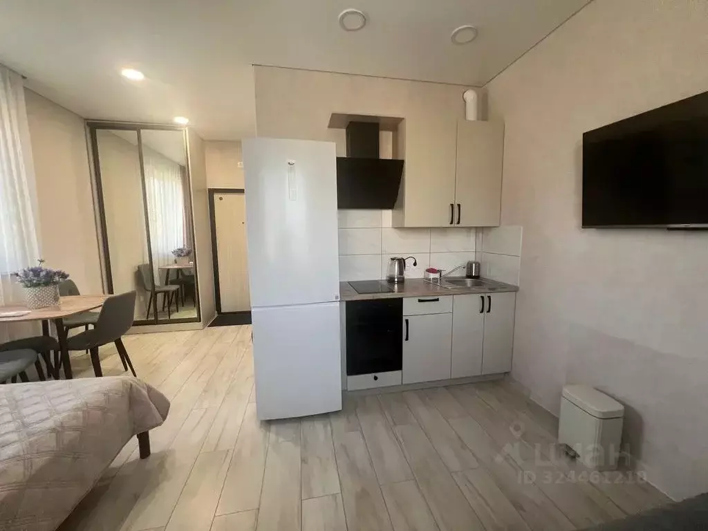 Студия Краснодарский край, Сочи ул. Гастелло, 43/2 (19.0 м) - Фото 2