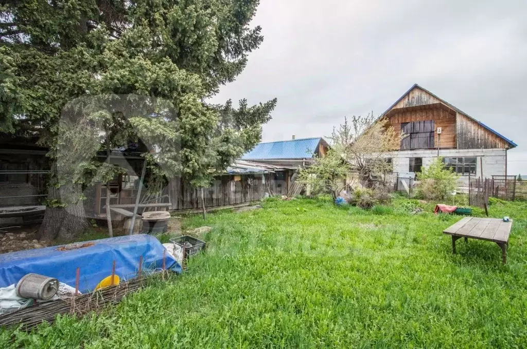Участок в Тюменская область, Тюменский район, с. Луговое Луговая ул. ... - Фото 2