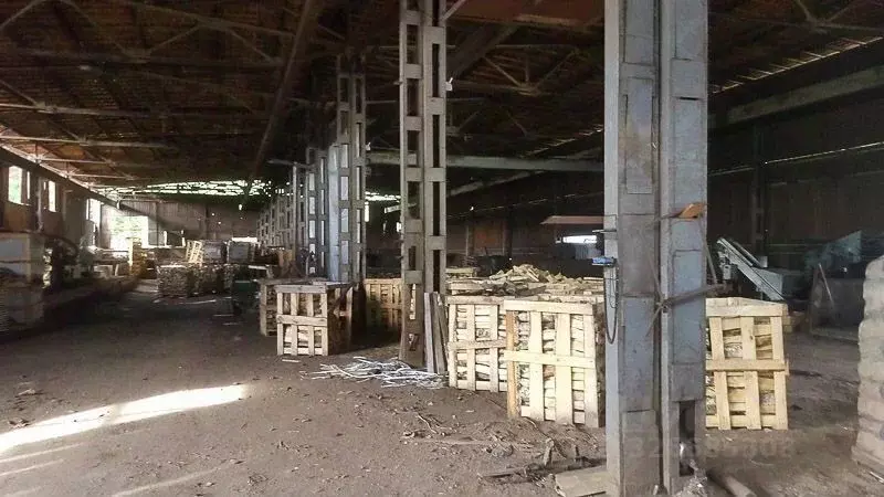 Помещение свободного назначения в Ленинградская область, Приозерский ... - Фото 1