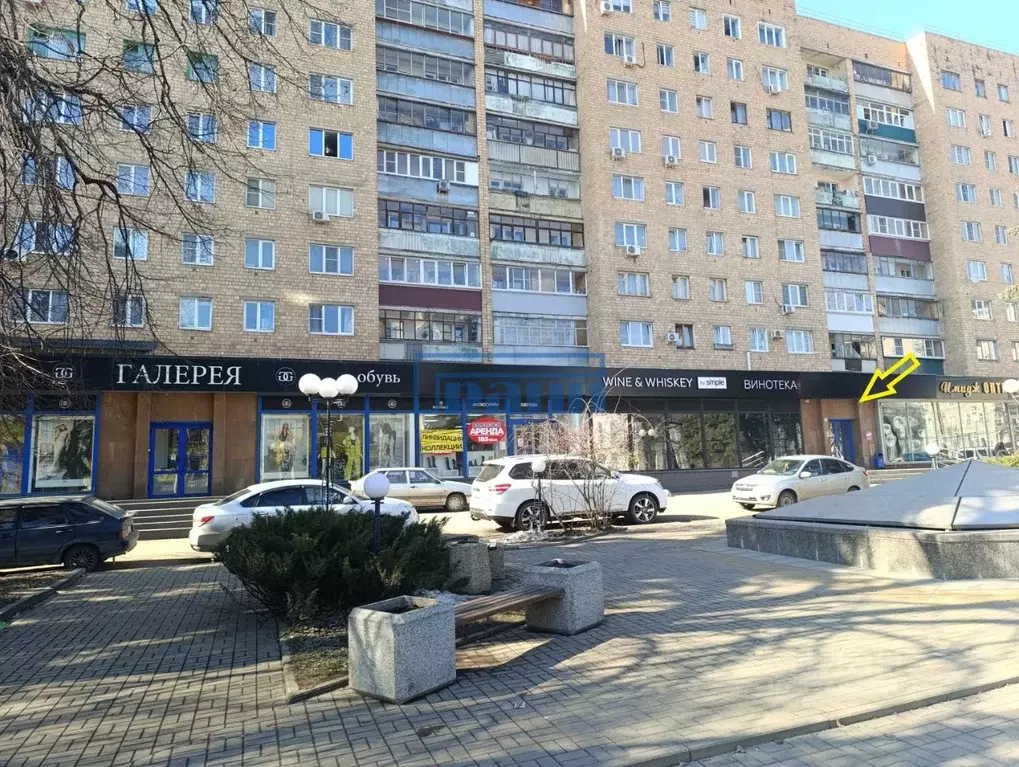 Помещение свободного назначения в Курская область, Курск ул. Ленина, ... - Фото 1