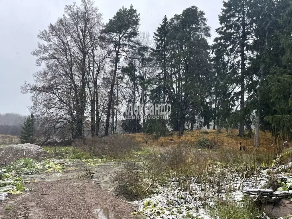 Участок в Ленинградская область, Приозерский район, Ларионовское ... - Фото 0