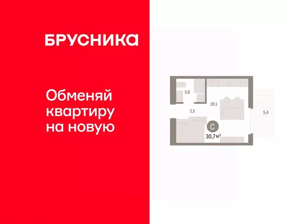 Студия Новосибирская область, Новосибирский район, Краснообск рп, 3-й ... - Фото 1