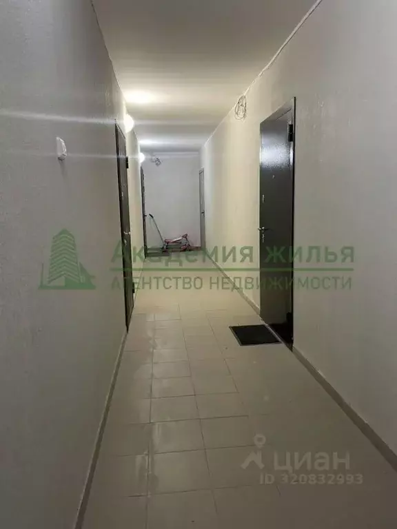 Студия Саратовская область, Саратов ул. Стрельбище, 20 (29.4 м) - Фото 0