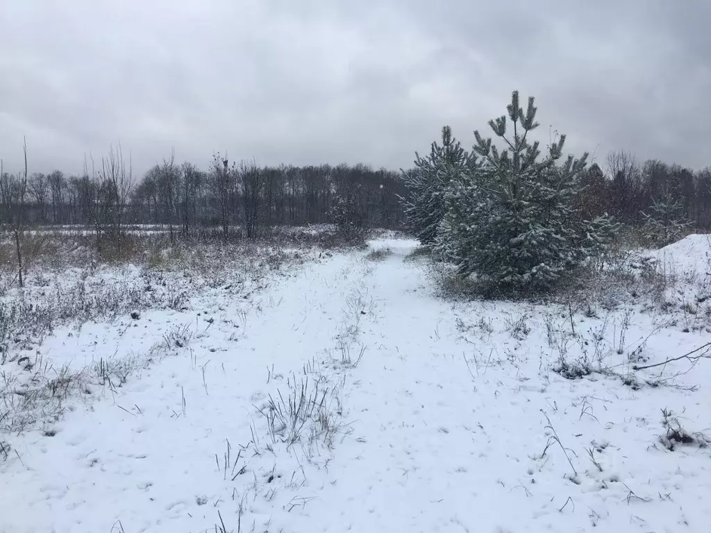 Участок в Московская область, Пушкинский городской округ, д. Цернское  ... - Фото 0