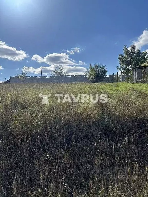 Участок в Крым, Симферопольский район, Чистенское с/пос, Родничок СПК ... - Фото 2
