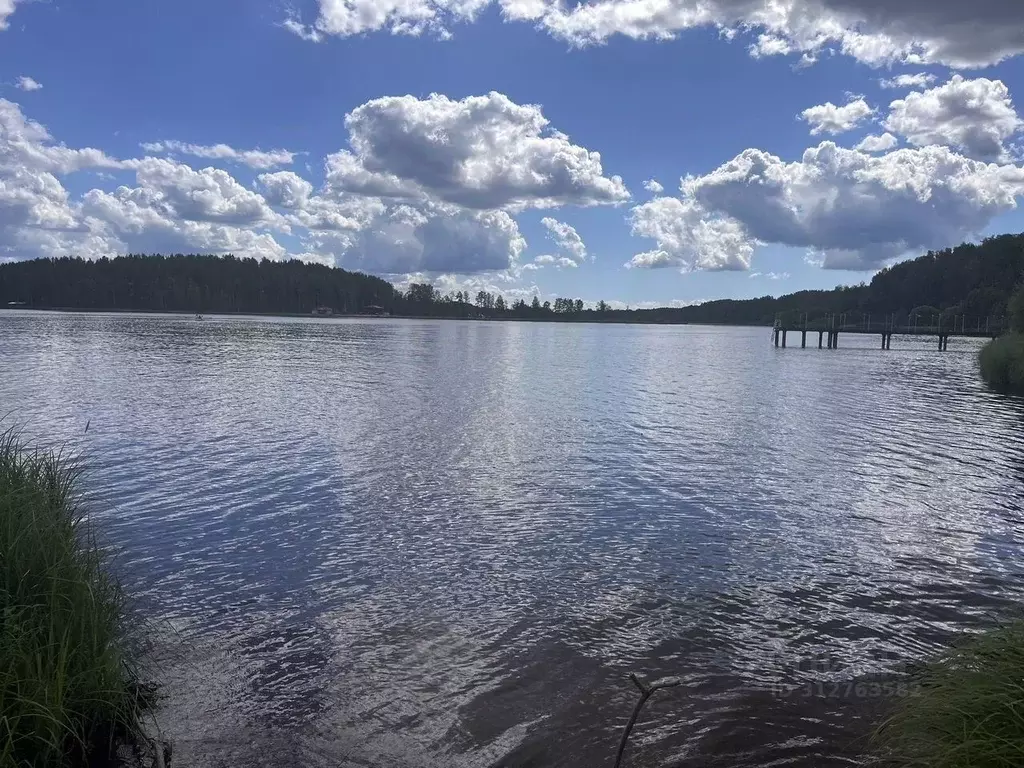 Участок в Ленинградская область, Всеволожский район, Куйвозовское ... - Фото 1