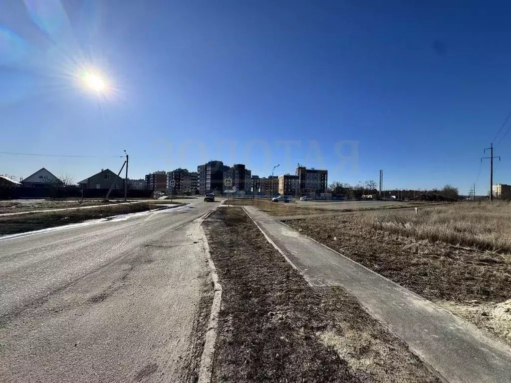 Участок в Белгородская область, Белгородский район, Разумное рп, ... - Фото 2