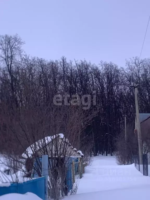 Участок в Башкортостан, Кармаскалинский район, Подлубовский сельсовет, ... - Фото 1