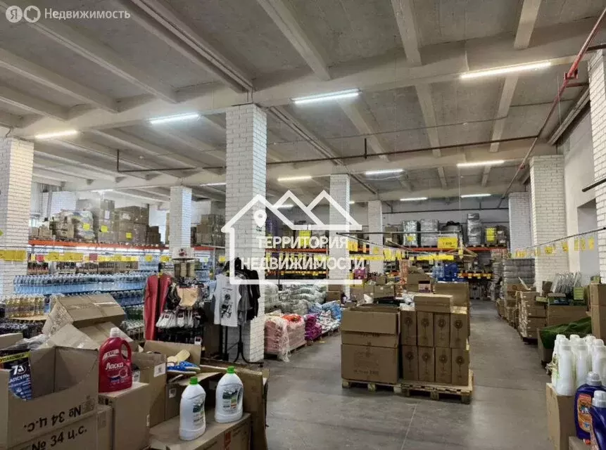 Торговая площадь (1500 м) - Фото 2