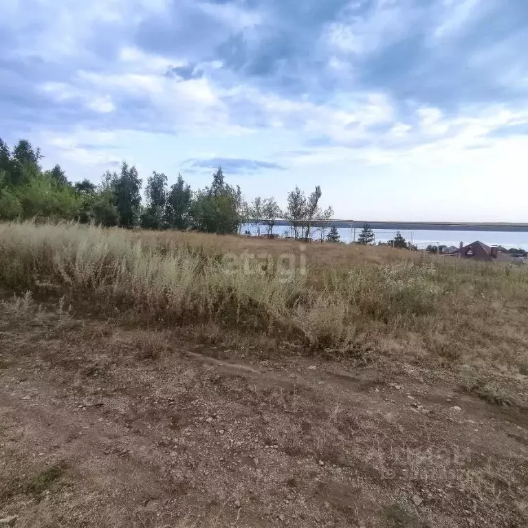 Участок в Саратовская область, Воскресенский район, Елшанское ... - Фото 0