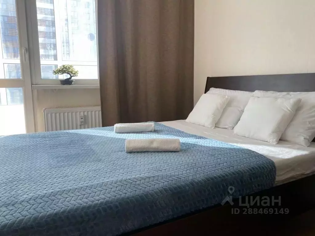 1-к кв. Санкт-Петербург дор. Кушелевская, 3к13 (50.0 м) - Фото 1