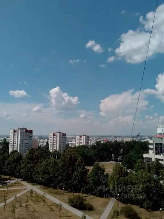 2-к кв. Белгородская область, Белгород ул. Костюкова, 41 (46.0 м) - Фото 1