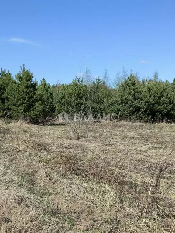 Участок в Нижегородская область, Городецкий муниципальный округ, д. ... - Фото 0