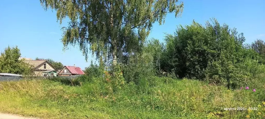 Участок в Ярославская область, Ростовский муниципальный округ, д. ... - Фото 1