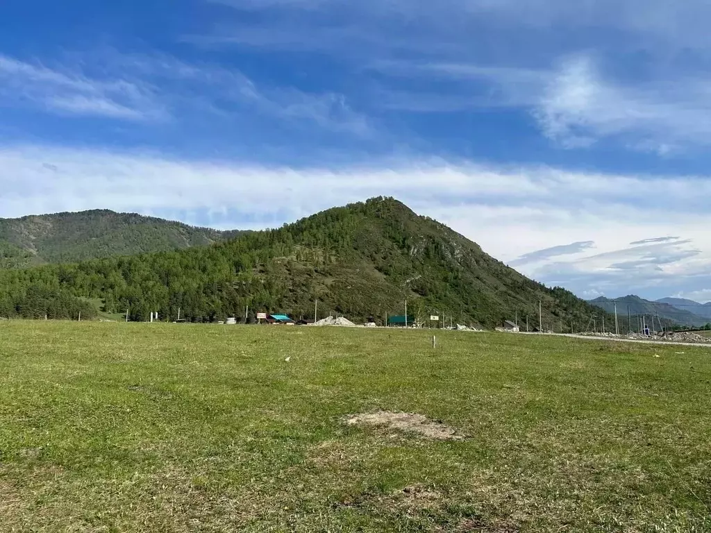 Участок в Алтай, Чемальский район, Элекмонарское с/пос, с. Элекмонар  ... - Фото 2