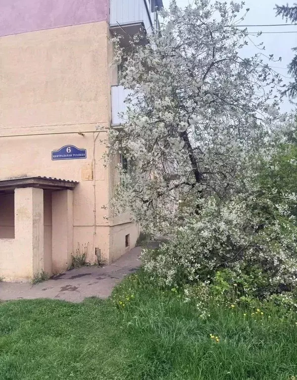1-к кв. Московская область, Богородский городской округ, с. Ямкино ул. ... - Фото 1