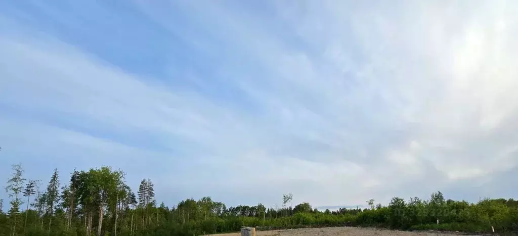 Участок в Карелия, Петрозаводск проезд Орзегский (10.6 сот.) - Фото 1